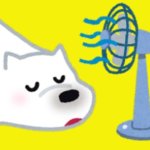 【熱中症予防】デスクや外出先で大活躍!くまの扇風機&ハンディファン12選
